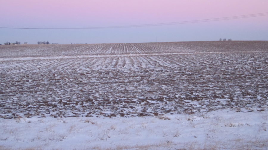 Harvest thoughts