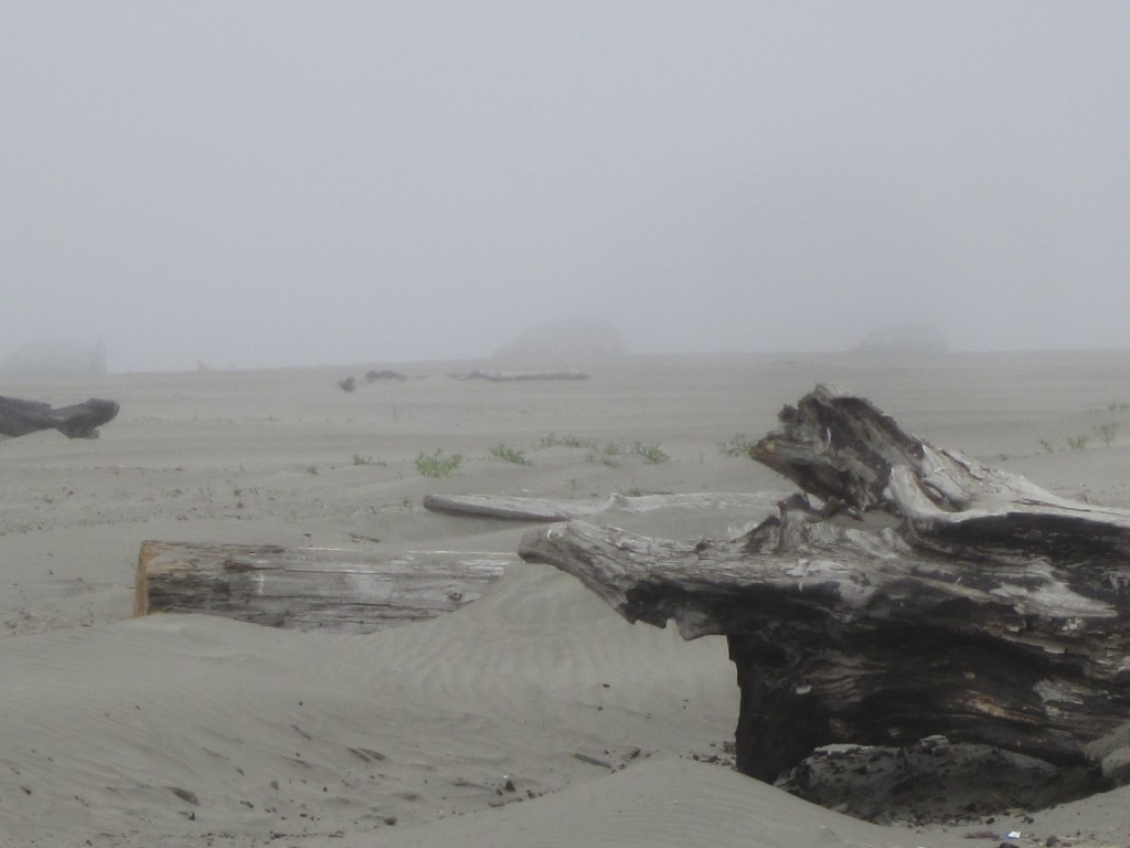 Ocean Shores WA and believe me, about 5 miles east of this is bright sunshine....