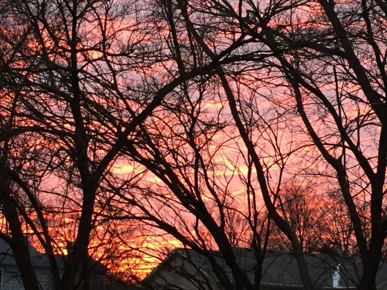 Good Monday Morning to you 