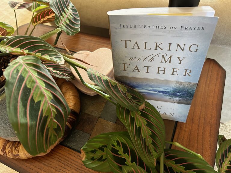 July book review…and I actually read one!