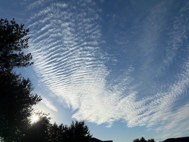 Hello there…remember me?     <3