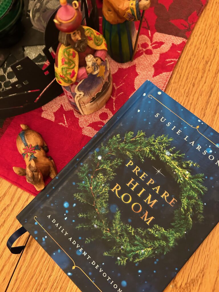 December Book Review as we enter the New Year